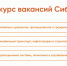 Конкурс вакансий СибАДИ ‐ 2024 - СибАДИ