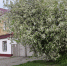 Визит-центр - туристический маяк. - Музей-заповедник Старина Сибирская