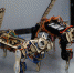 В Омском политехе создали конструктор Cybercat MechMeow для обучения робототехнике - Правительство Омской области