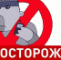 Осторожно мошенники! - ТОС Омска