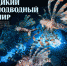 afisha_fotovystavka_dikiy_podvodnyy_mir.jpg - Омский портал Культура