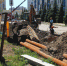 «Тепловая компания» готовится  к  отопительному сезону - Городской Совет