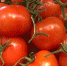 Химики из ННГУ придумали плёнку, которая продлит срок хранения продуктов - Om1.Ru