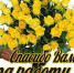 Спасибо всем активистам! - ТОС Омска