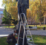 5wy28dlspbk.jpg - Омский портал Культура