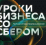 Сбер провел урок бизнеса для студентов СибАДИ - СибАДИ