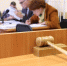 Омич предстанет перед судом за нападение на инспектора минприроды - ИА Омскрегион