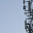 Звоним в 4G, не расходуя гигабайты: оператор Т2 запустил технологию VoLTE в Омской области - Om1.Ru