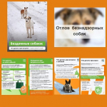 ОТЛОВ БЕЗНАДЗОРНЫХ ЖИВОТНЫХ!