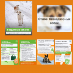 MyCollages (9) (2).jpg