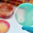 antibiotic - БУЗОО НД