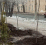 Сергей Шелест рассказал о закрытии плана по озеленению Омска на 2024 год - Om1.Ru