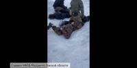 Показаны кадры задержания преступной банды из Омской области - СуперОмск