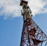 На окраинах Омска и в садовых товариществах оператор Т2 усилил сеть 4G - Gorod55.Ru