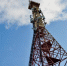 Оператор T2 усилил сеть 4G на окраинах Омска - Om1.Ru