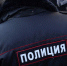 Пьяный омич скинул собаку с балкона на глазах у детей - ИА Новый Омск