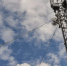 Старинные поселения на севере Омской области обеспечили доступом к 4G-интернету - Gorod55.Ru