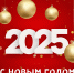 Новый  2025 год ! - ТОС Омска