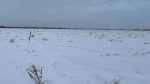 Трубу прорвало посреди поля