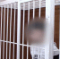 Омские полицейские поймали гастролеров с крупной партией наркозакладок - РИА Омск-информ