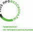 28 января 2025 состоялся IV чемпионат профессионального мастерства по Веб-технологиям - ОмАЭиП