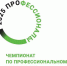 Отборочный этап чемпионата «Профессионалы». Компетенция «Автоматизация бизнес-процессов организации» - ОмАЭиП