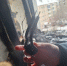Квартиру на проспекте Маркса в Омске подожгла двухлетняя девочка - Комсомольская Правда