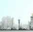Эксперты назвали три главные ошибки соискателей на собеседованиях        - ГТРК Иртыш
