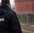 Полиция нашла омича, который выбросил собаку с третьего этажа - Om1.Ru