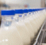 На омских прилавках может появиться опасная молочная продукция «предприятий-призраков» - ИА Омскрегион
