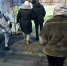 В Омске начался капремонт подземного пешеходного перехода на пересечении проспекта Маркса и улицы Лермонтова - 12 канал