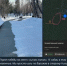 Женщина сделала фото стаи, когда уже отошла на более безопасное расстояние - Gorod55.Ru