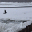 В Омской области устанавливают границы водоохранной зоны нескольких рек - 12 канал