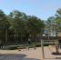 Застройщик DOGMA показал, как будет выглядеть экопарк в Омске - Om1.Ru