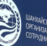 Форум Шанхайской Организации Сотрудничества пройдет в Омске 16 апреля - 12 канал