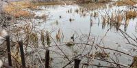 Омичи из Осташково пожаловались, что СНТ снова топит водой - Gorod55.Ru
