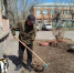 Средник по благоустройству - ТОС Омска