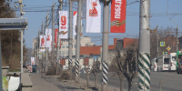 В центре Омска кронировали молодые деревья - СуперОмск