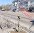 Все, что осталось от саженцев после кронирования - Gorod55.Ru