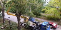 Омское УДХБ запланировало снос больше 2 тысяч деревьев в 2025 году - Gorod55.Ru