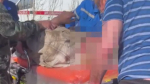 В Омской области пропавшего пенсионера нашли через три дня на картофельном поле