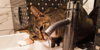 В Омске начались первые отключения горячей воды — опубликован список улиц - Om1.Ru
