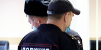 В Омске две школьницы резали щенка ножом и снимали это на видео - ИА Новый Омск