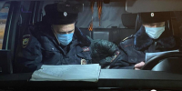 В Омске две школьницы жестоко расправились с щенком - Om1.Ru