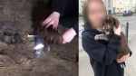 Мэр Омска высказался об убийстве щенка двумя школьницами