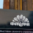 Появились эскизы омской «Флоры-2025» - СуперОмск