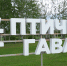 В Омске организуют эколого-просветительский лагерь «Заповедное дело РГО» - 12 канал
