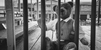 в Омской области возбуждено дело об издевательствах над ребенком - Gorod55.Ru