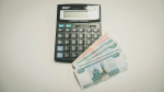 Предпринимателям выплатили 21 млн рублей по больничным и декрету