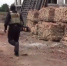 В Омской области силовики отлавливали нелегальных мигрантов - Комсомольская Правда
